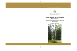 Oak as Retention Tree in Commercial Spruce Forests