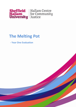 The Melting Pot - Arts Alliance Evidence Library