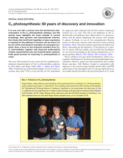 C4 photosynthesis: 50 years of discovery and
