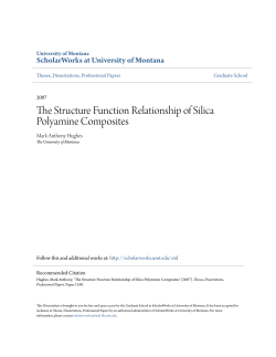 The Structure Function Relationship of Silica Polyamine Composites