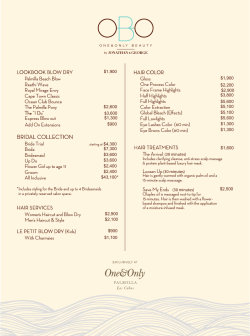 OBO Salon Price List
