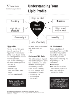 1026, Understanding Your Lipid Profile