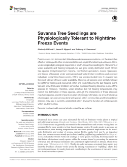 Savanna Tree Seedlings are Physiologically Tolerant to Nighttime