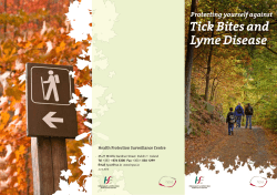 Lyme Disease Tick Bites and