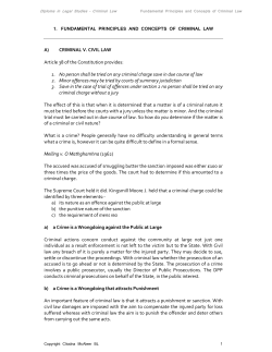 Fundamental Principles and Concepts of Criminal Law