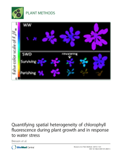 Quantifying spatial heterogeneity of chlorophyll fluorescence during