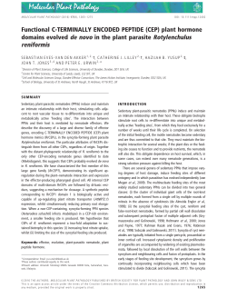 Functional C-TERMINALLY ENCODED PEPTIDE (CEP) plant