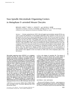 Non-Spindle Microtubule Organizing Centers in Metaphase II