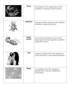 Tissue The smallest unit of organization of life capable of carrying
