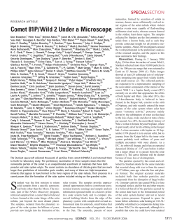 Comet 81P/Wild 2 Under a Microscope