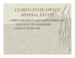 leasing state-owned mineral estate