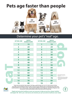 Pets Age Faster Poster