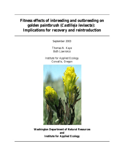 Fitness effects of inbreeding and outbreeding on golden paintbrush