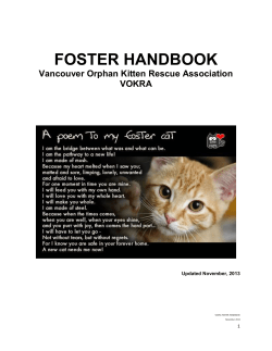 foster handbook - Vancouver Orphan Kitten Rescue Association