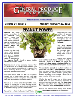 peanut power - General Produce