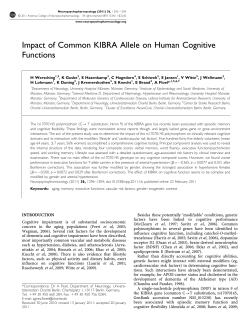 Impact of Common KIBRA Allele on Human Cognitive