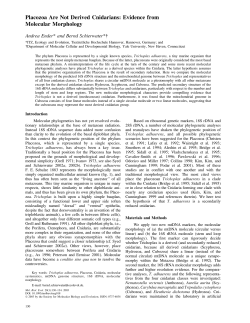 Placozoa Are Not Derived Cnidarians: Evidence from