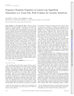 Frequency Response Properties of Lateral Line Superficial