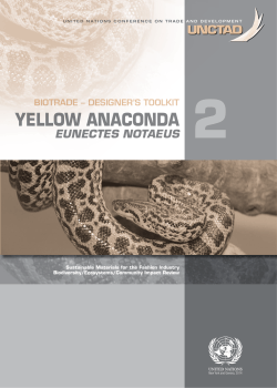 Biotrade Designer`s Toolkit: Yellow Anaconda (Eunectes