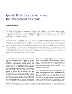 Spanish SMEs` financial restrictions: The importance of