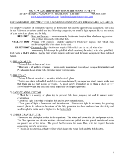 big al`s aquarium services warehouse outlets - Big Al`s