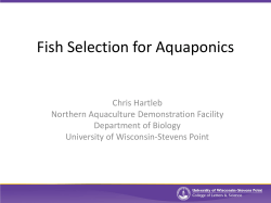 Fish Selection for Aquaponics