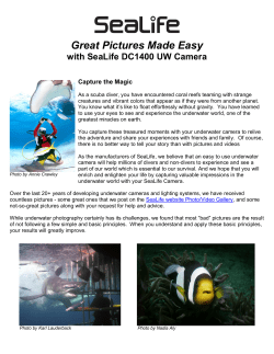 Great Pictures Made Easy