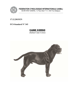 cane corso