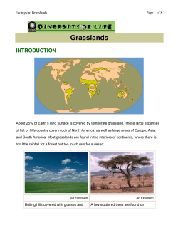 Grasslands