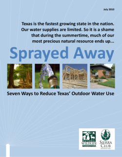 Sprayed Away: Seven Ways to Reduce Texas` Outdoor Water Use