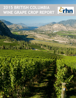 2015 BC Wine Grape Crop Report