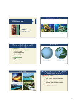 Most Aquatic Species Live in Top, Middle, or Bottom Layers of Water