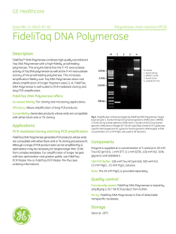 FideliTaq DNA Polymerase - GE Healthcare Life Sciences