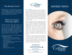 blended vision - Collins Vision
