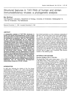 i mm man an netic ani