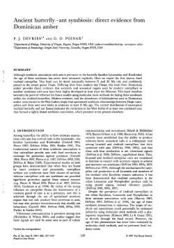 Ancient butterﬂy—ant symbiosis: direct evidence from