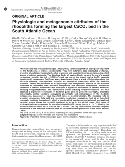 Physiologic and metagenomic attributes of the rhodoliths