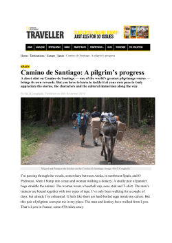 Camino de Santiago: A pilgrim`s progress