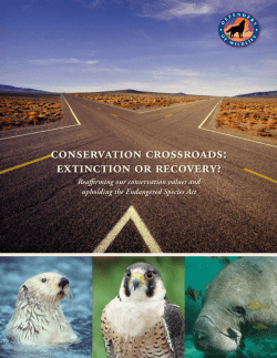 Conservation Crossroads: Extinction or Recovery?