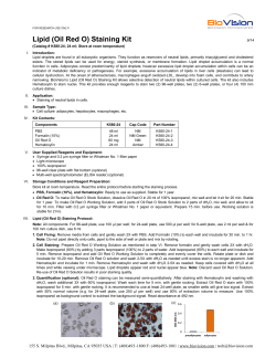 Lipid (Oil Red O) Staining Kit