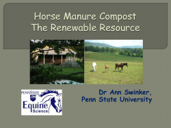 Horse Manure Compost The Renewable Resource