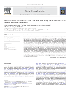 Effect of salinity and seawater calcite saturation state on Mg and Sr