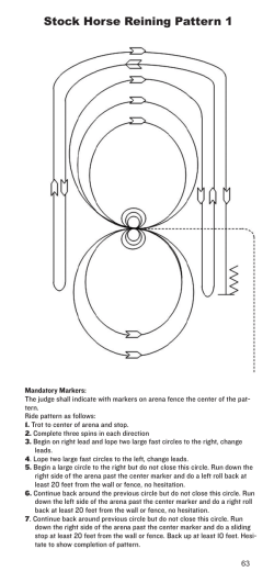 Pattern Book  - Stock Horse of Texas
