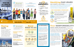 Gas Safety - City of Palo Alto