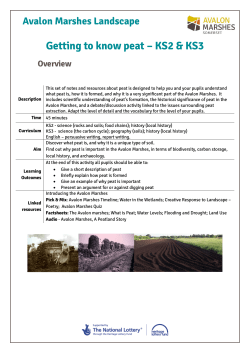 Getting to know peat