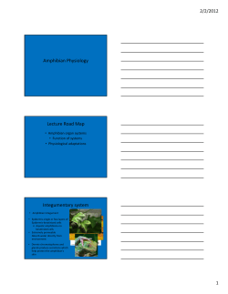 Amphibian Physiology Lecture Road Map Integumentary system