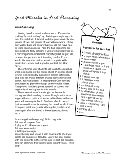 Bread in a Bag - Utah Agriculture in the Classroom