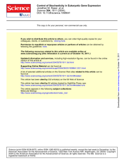 Control of Stochasticity in Eukaryotic Gene Expression