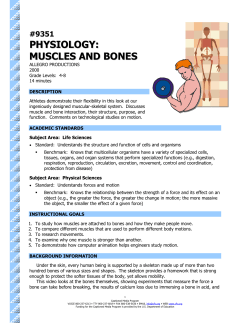 physiology: muscles and bones - The Described and Captioned