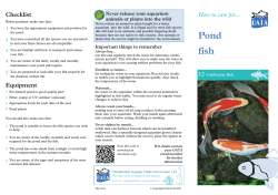 12 Pond fish &ndash;
